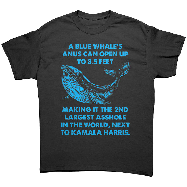 A_Blue_Whales_Anus_Can_Open_Up_To_35_F_Black_Front_Mockup_png_fb2b4c38-9d9a-4d2a-8b80-3b3f24b7c01d_720x.jpg