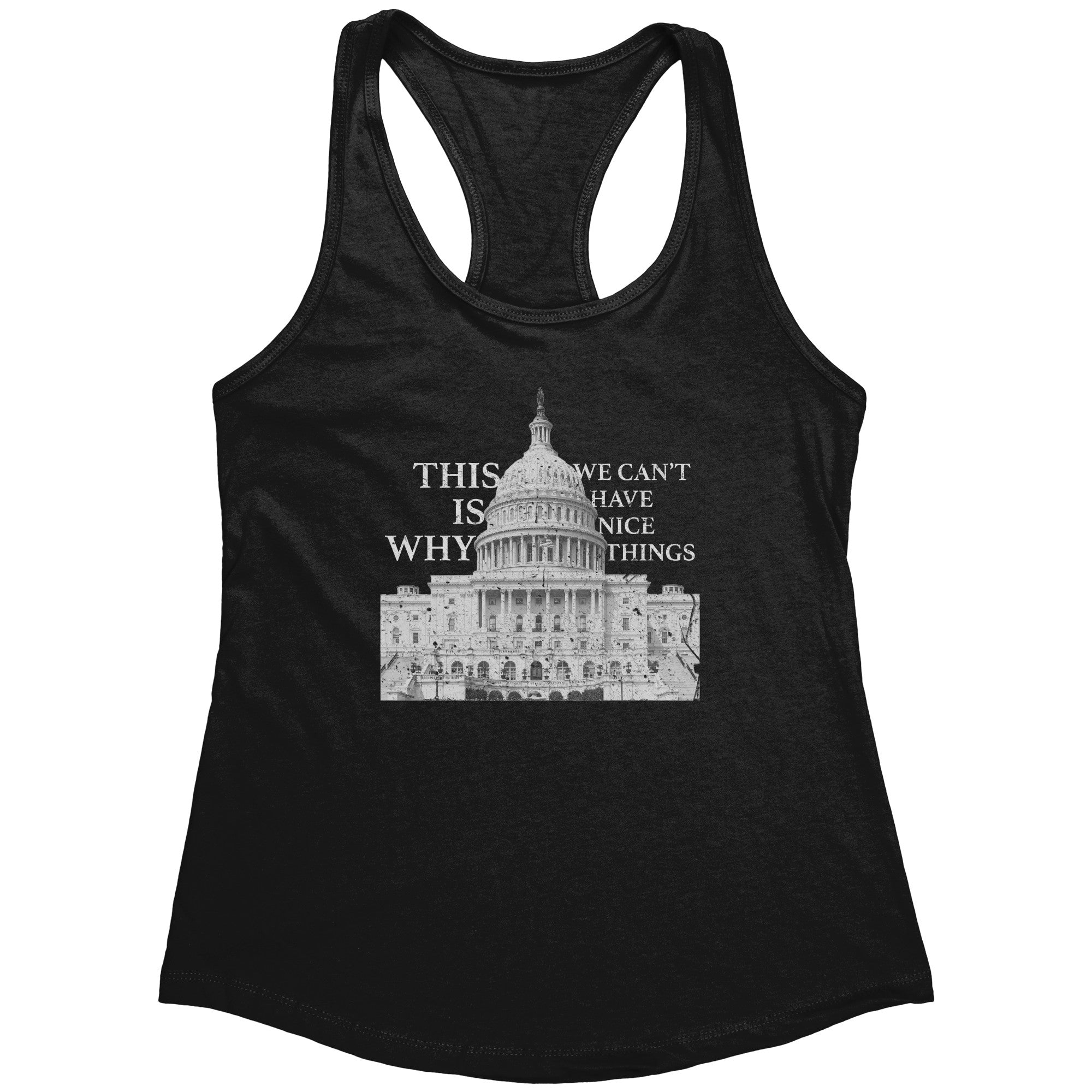 This Is Why We Can't Have Nice Things (Ladies) -Apparel | Drunk America 