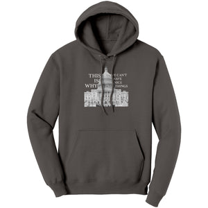 This Is Why We Can't Have Nice Things (Ladies) -Apparel | Drunk America 