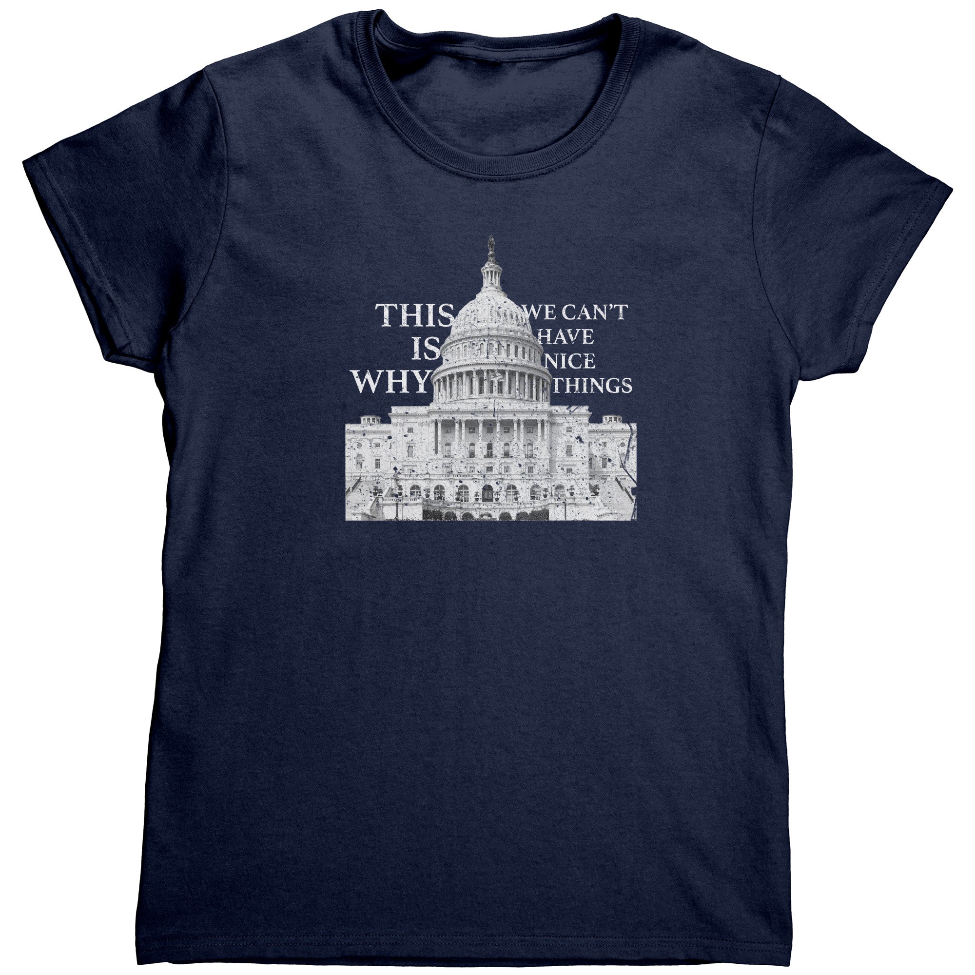This Is Why We Can't Have Nice Things (Ladies) -Apparel | Drunk America 