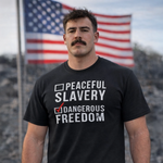 Dangerous Freedom Over Peaceful Slavery