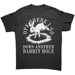 Ope There I Go Down Another Rabbit Hole - Drunk America