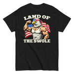 patriotic-bald-eagle-land-of-the-swole-patriotic-gym-graphic-t-shirt -