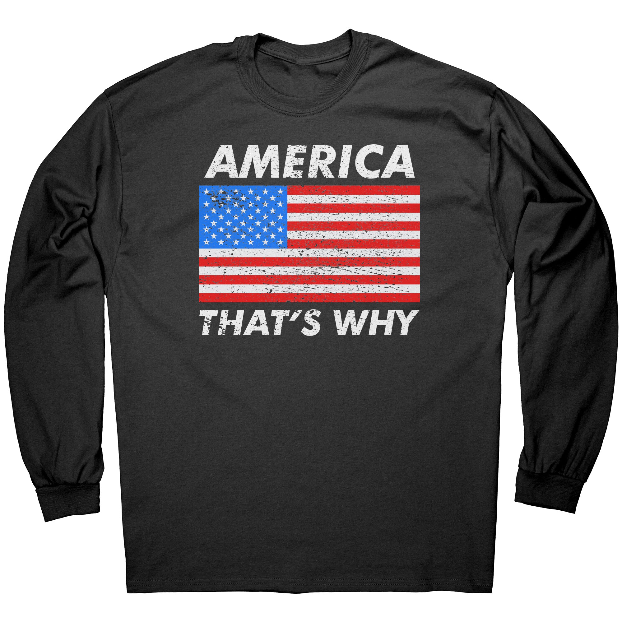 America That's Why -Apparel | Drunk America 